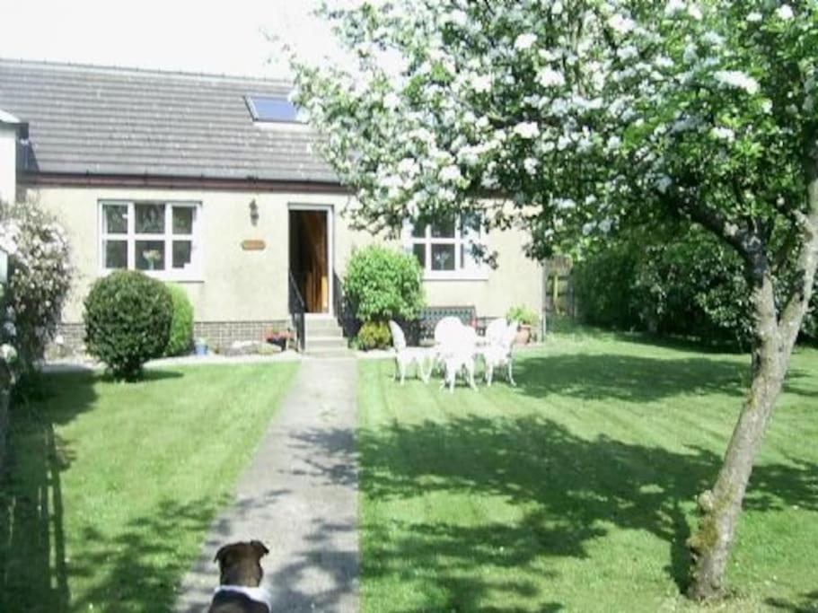 Garden Cottage Helensburgh Exteriér fotografie